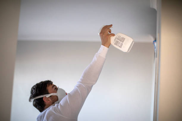 Best Water Damage Restoration  in Rossmoor, CA