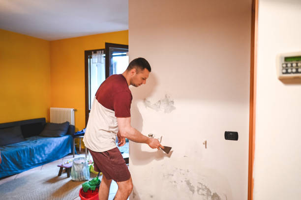 Best Mold Damage Repair  in Rossmoor, CA